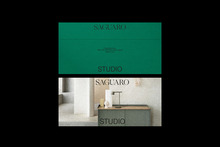 Saguaro visual identity
