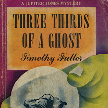<cite>Three Thirds of a Ghost</cite> by Timothy Fuller