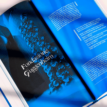 Museo del Novecento study