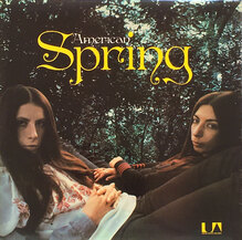 <cite>American Spring</cite> by American Spring album art