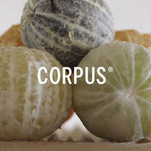 Corpus Naturals deodorants