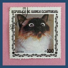 Cat stamps from Equatorial Guinea