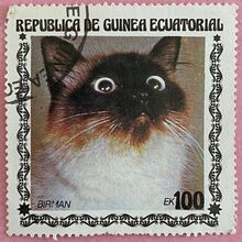 Cat stamps from Equatorial Guinea