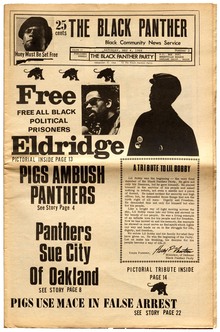 <cite>The Black Panther: Black Community News Service</cite>