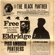 <cite>The Black Panther: Black Community News Service</cite>