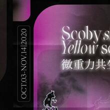 <cite>Scoby Skin, Yellow Soup</cite>