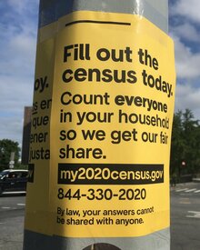 My 2020 census poster series