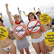 “Bullfighting is cruel” campaign