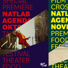 NatLab visual identity and website