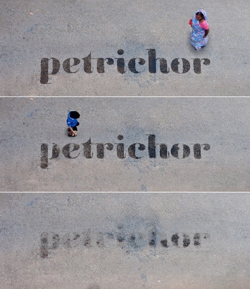 Type Out Two: Petrichor 1