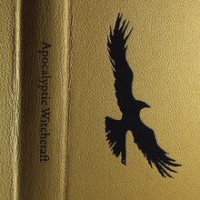 <cite>Apocalyptic Witchcraft</cite> by Peter Grey