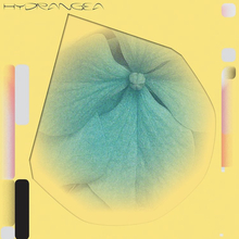 Holly Childs &amp; Gediminas Žygus – <cite>Hydrangea</cite> album art