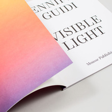 <cite>Jennifer Guidi: Visible Light</cite>