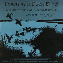 <cite>Dawn in a Duck Blind</cite> album art