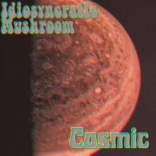 Idiosyncratic Mushroom album art (2020)