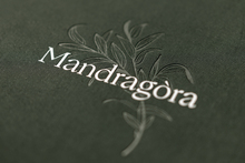Mandragòra restaurant