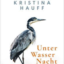 <cite>Unter Wasser Nacht</cite> by Kristina Hauff (Hanser)