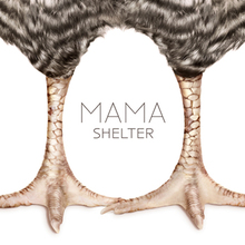 Mama Shelter