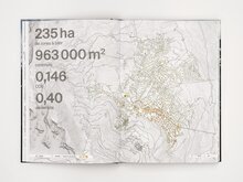 <cite>Urbanising the Alps </cite>by Fiona Pia