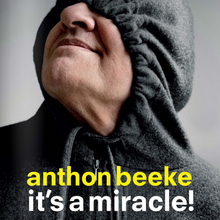 <cite>Anthon Beeke. It’s a Miracle!</cite>