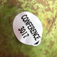 Conference pear fruit sticker