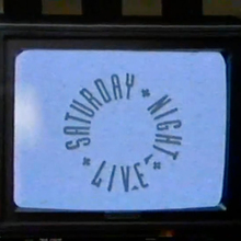 <cite>Saturday Night Live</cite> TV logo (1988–1995)