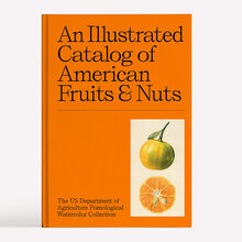 <cite>An Illustrated Catalog of American Fruits &amp; Nuts</cite>