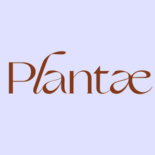 Plantae