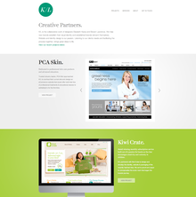 Karas/Lawrence Website