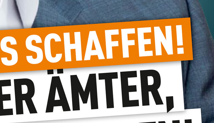 BZÖ, Nationalratswahl 2013 1