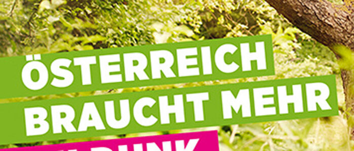 Grüne, Nationalratswahl 2013 1