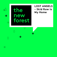 The New Forest website