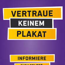 Piraten, Nationalratswahl 2013