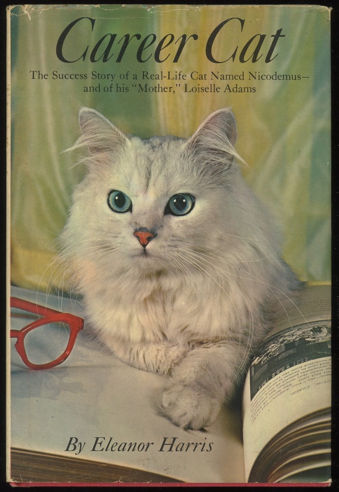 Career Cat
