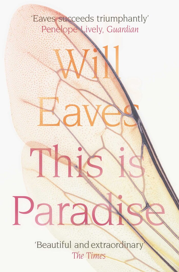 This is Paradise by Will Eaves, Picador Paperback