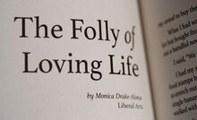 <cite>PNCA Faculty Biennal Exhibition</cite>