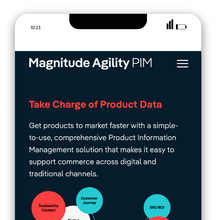 Magnitude branding and website