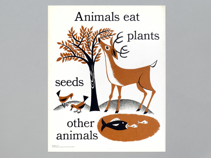The Instructor Primary Science Concept Charts 2