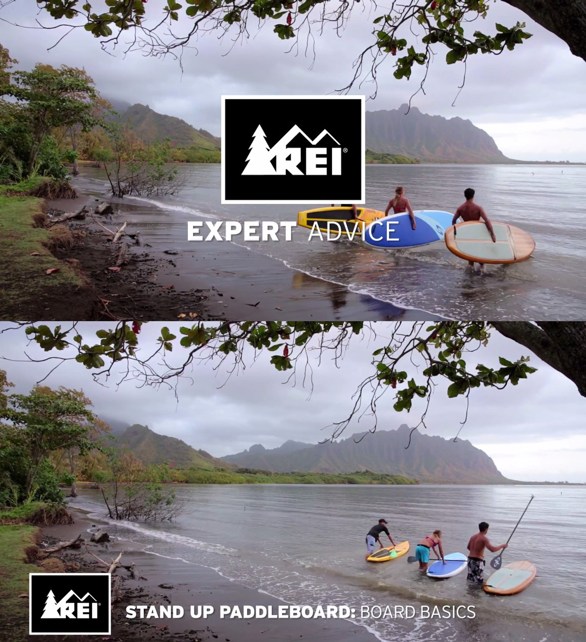 REI Websites, Catalog, and Video Fonts In Use