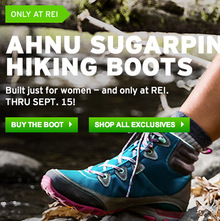 REI Websites, Catalog, and Video