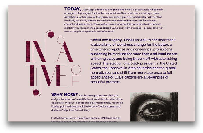 Lady Gaga feature website 5