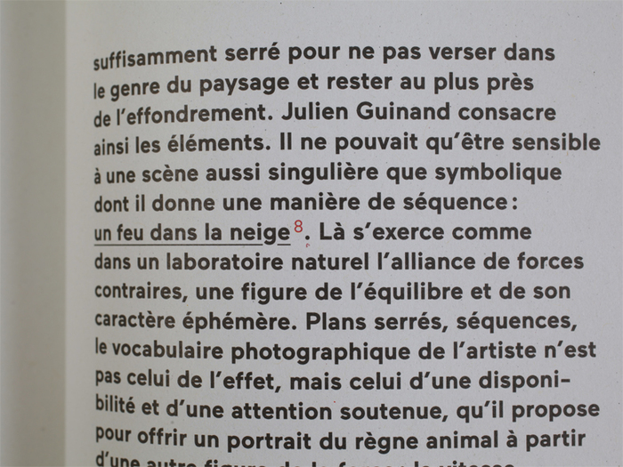 “Forces” by Julien Guinand 3