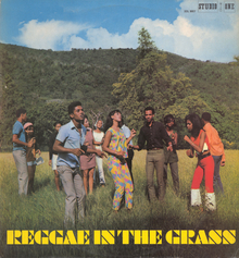 <cite>Reggae In The Grass</cite> compilation album cover