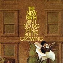 The New Birth – <cite>Ain’t No Big Thing, But It’s Growing</cite> album art