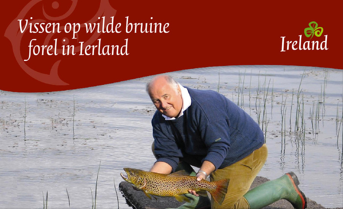 Tourism Ireland, c.&nbsp;2010&ndash;2014 6
