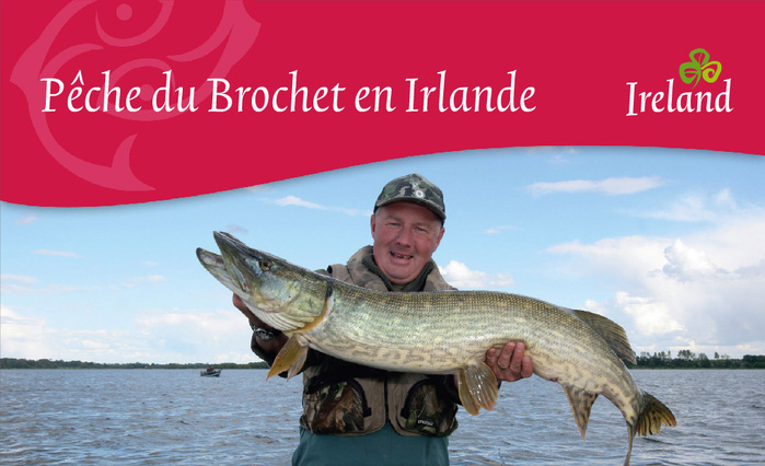 These multilingual brochures about fishing in Ireland date back from 2010. Here, Trinit&eacute; is used out-of-the-box, without any silly modifications. Apparently, Tourism Ireland obtained a waiver from TEFF&rsquo;s restrictive licensing terms. At least the standard licensing agreement doesn&rsquo;t allow embedding the fonts in Flash and PDF files.