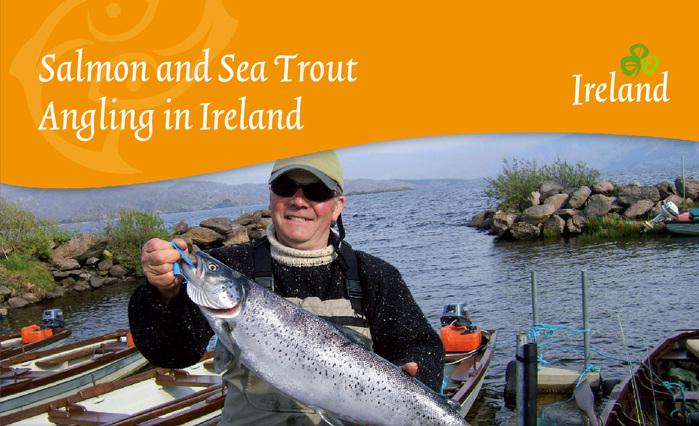 Tourism Ireland, c.&nbsp;2010&ndash;2014 5
