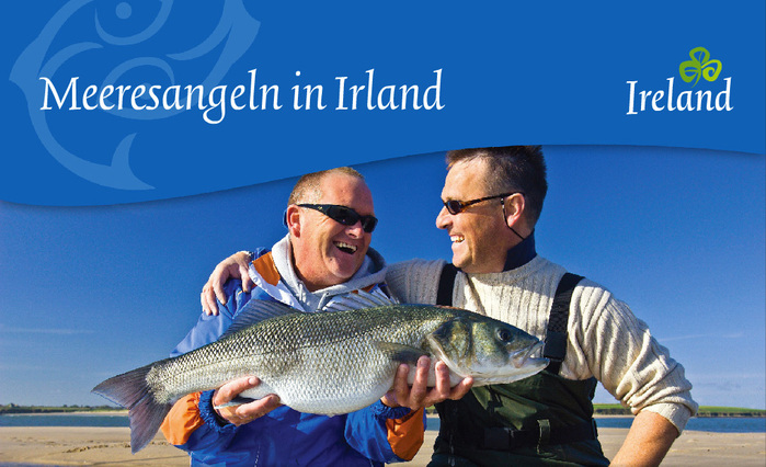Tourism Ireland, c.&nbsp;2010&ndash;2014 7