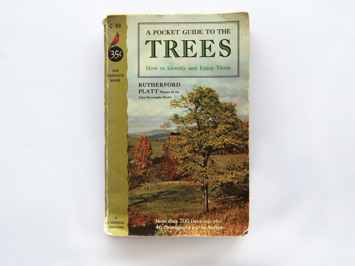 A Pocket Guide To The Trees by Rutherford Platt 1