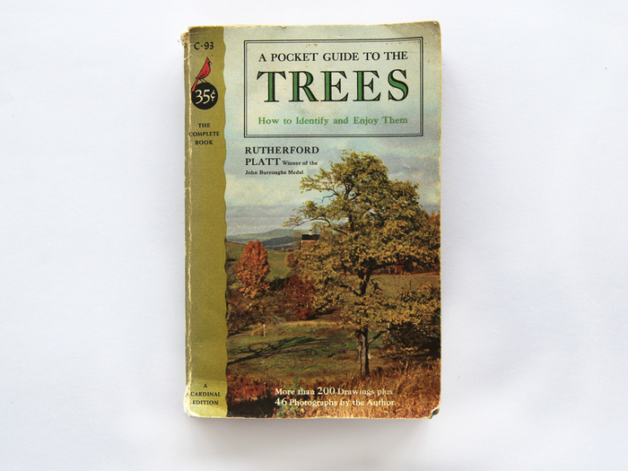 A Pocket Guide to the Trees by Rutherford Platt 1